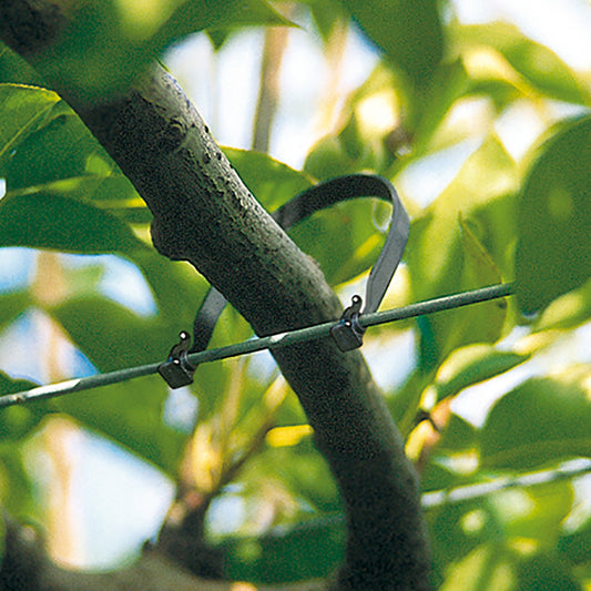 Fruit Tree Ties