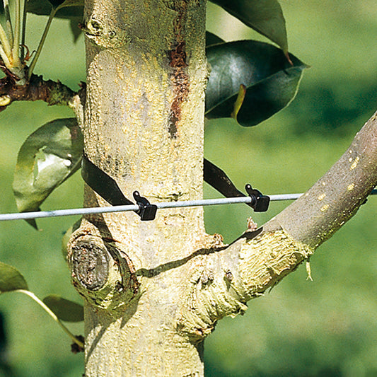 Tree Ties